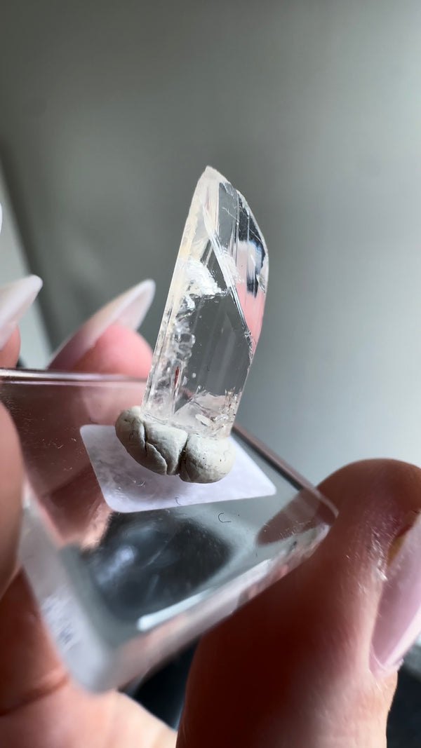 Gem Danburite Specimen from Aurora Mine, Charcas, San Luis Potosí, Mexico