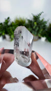 Gem Danburite Specimen from Aurora Mine, Charcas, San Luis Potosí, Mexico