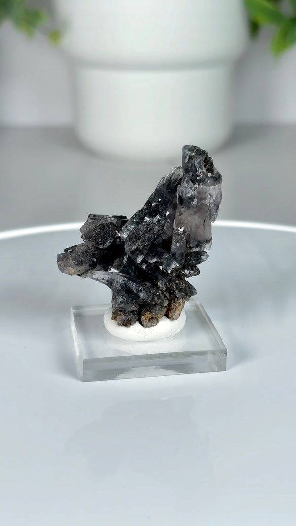 Black Phantom Quartz Specimen from Piedra Parada, Veracruz, Mexico