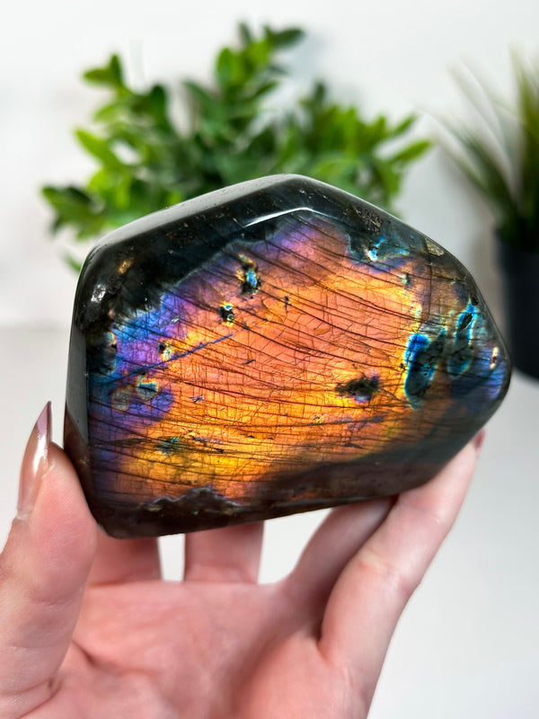 Labradorite Freeform From Madagascar