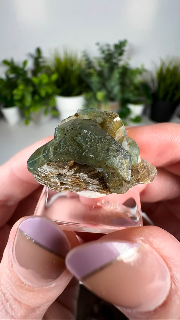 Apatite from Sapo Mine Brazil