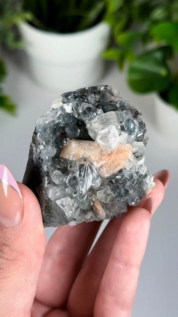Black Diamond Apophyllite with Stilbite • Self-Standing Apophyllite, Stilbite & Black Chalcedony Crystal Specimen from India