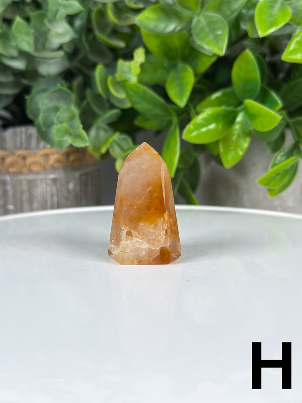 Golden Healer Towers From Brazil • Choose Your Own
