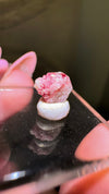 Scarlet Emerald (Red Beryl/Bixbite) from Thomas Range, Utah