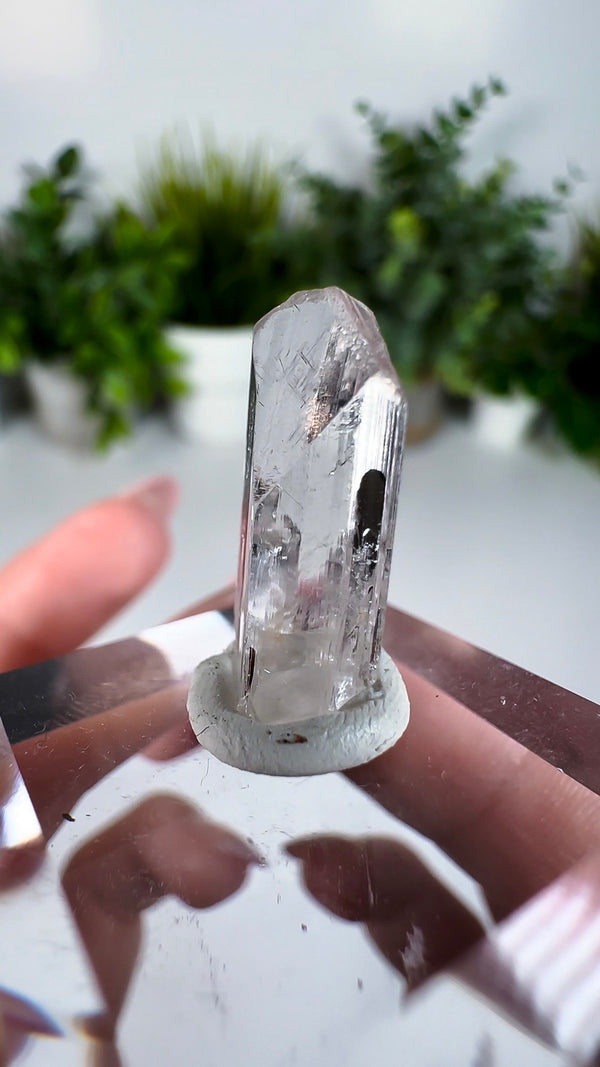 Gem Danburite Specimen from Aurora Mine, Charcas, San Luis Potosí, Mexico
