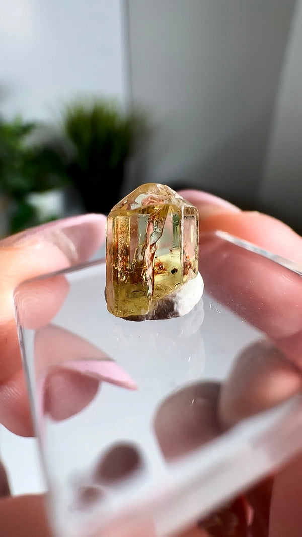 Gem Golden Apatite from Durango, Mexico