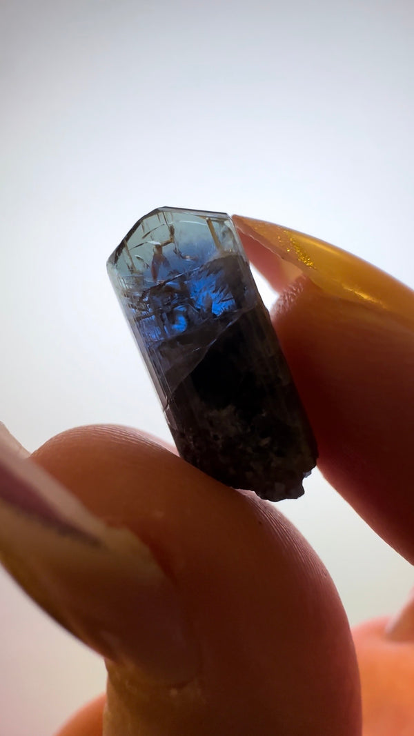 Unheated Pleochroic Tanzanite - Meralani Hills, Tanzania | 16 Carats