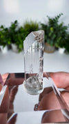 Gem Danburite Specimen from Aurora Mine, Charcas, San Luis Potosí, Mexico
