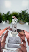 Gem Danburite Specimen from Aurora Mine, Charcas, San Luis Potosí, Mexico