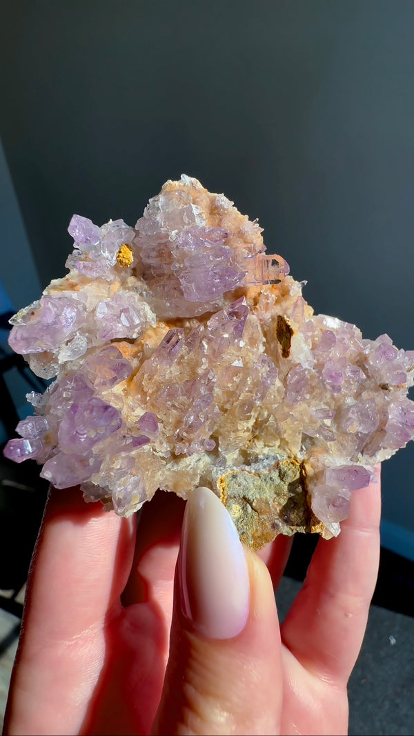 Amethyst "Flowers" with Sceptres, Reverse Sceptres & Calcite Associations on Matrix from "La Troje" Mine in Veracruz, Mexico (New Find!)