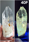 UV Reactive Petroleum-Included "Firefly" Quartz Specimens from Madagascar • Choose Your Own!