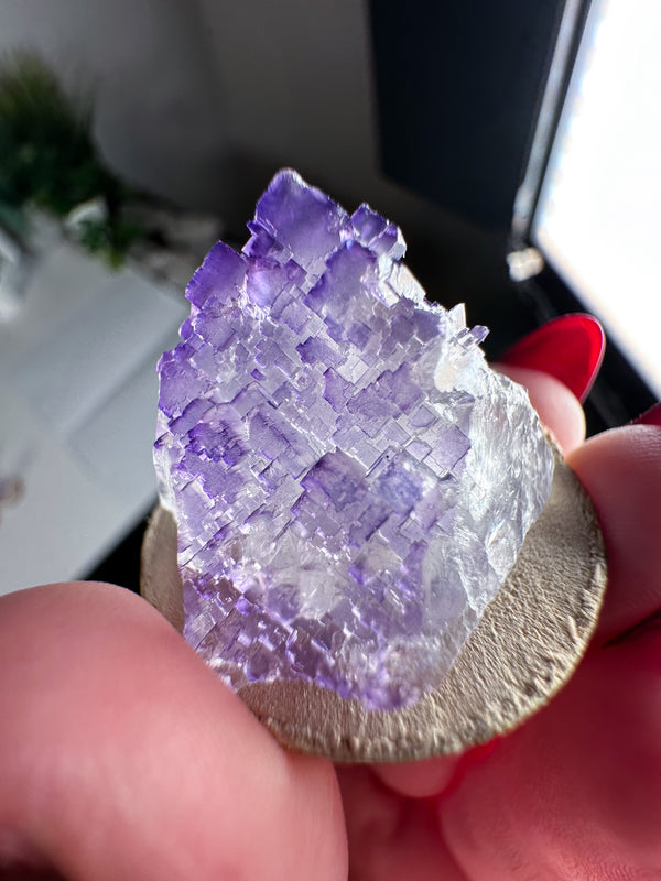 Fluorite from Tule Mine, Múzquiz Municipality, Coahuila, Mexico • ONE Intuitively Selected Múzquiz Fluorite Specimen