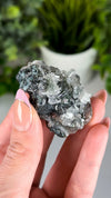 Black Diamond Apophyllite with Stilbite & Chlorite • Apophyllite, Stilbite, Chlorite & Black Chalcedony Crystal Specimen from India