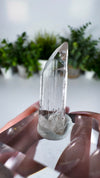 Gem Danburite Specimen from Aurora Mine, Charcas, San Luis Potosí, Mexico