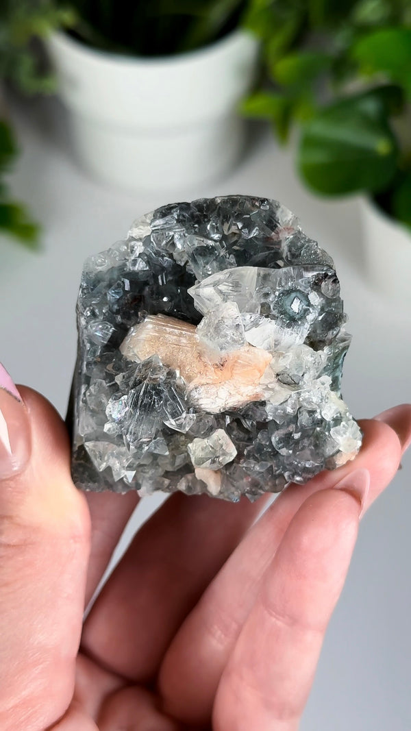Black Diamond Apophyllite with Stilbite • Self-Standing Apophyllite, Stilbite & Black Chalcedony Crystal Specimen from India