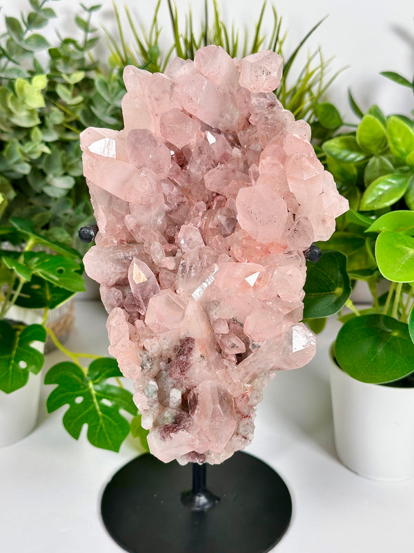 Himalayan Pink Samadhi Quartz Cluster with Chlorite and Lodalite Inclusions • XL Pink Samadhi Quartz w/ Custom Display Stand