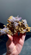 Amethyst "Flowers" with Sceptres, Reverse Sceptres & Calcite Associations on Matrix from "La Troje" Mine in Veracruz, Mexico (New Find!)