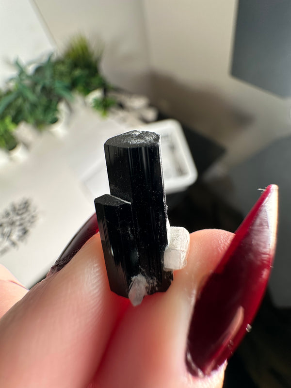 Terminated Black Tourmaline (Schorl) Specimens with Feldspar Inclusions from Skardu, Pakistan