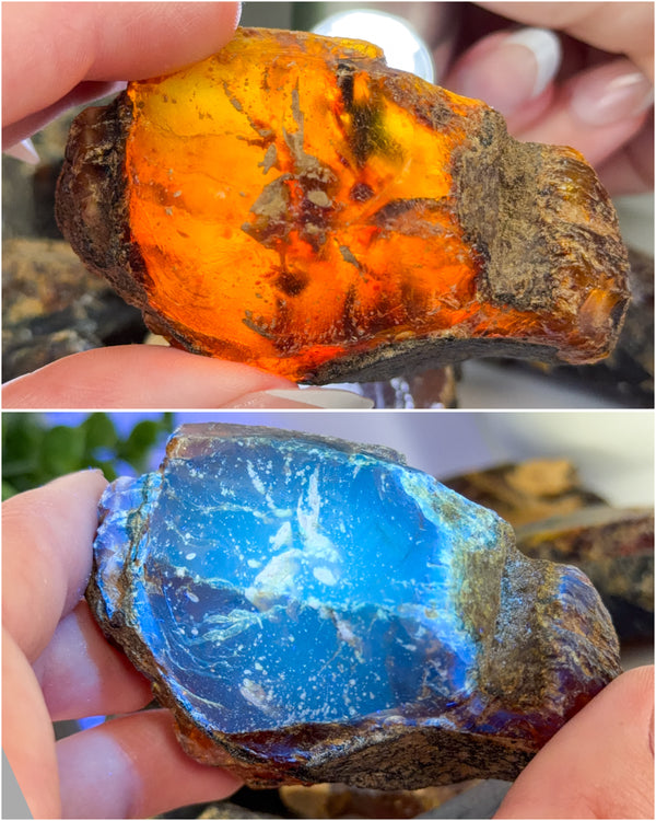 Raw Sumatran Blue Amber from Indonesia • ONE Intuitively Selected UV Reactive Indonesian Amber Raw Chunk Specimen