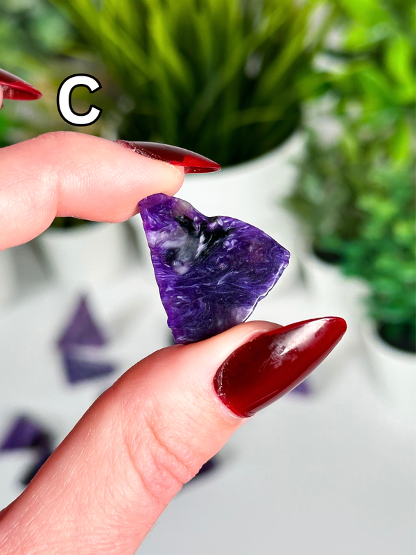 Charoite Polished Freeforms from Russia • Choose Your Own!