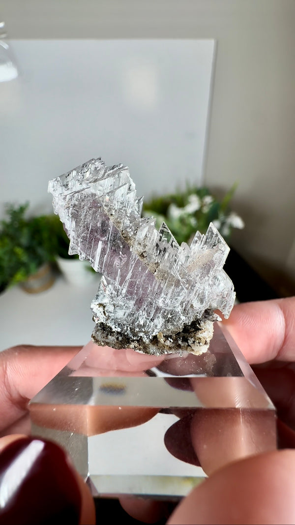 Amethyst Coated In Fishtail Selenite - Vera Cruz, Mexico