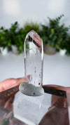 Gem Danburite Specimen from Aurora Mine, Charcas, San Luis Potosí, Mexico