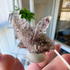 Just Found: Vera Cruz Amethyst With Selenite