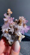 Amethyst "Flowers" with Sceptres, Reverse Sceptres & Calcite Associations on Matrix from "La Troje" Mine in Veracruz, Mexico (New Find!)