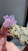 Amethyst "Flowers" with Sceptres & Reverse Sceptres on Matrix from "La Troje" Mine in Veracruz, Mexico (New Find!)