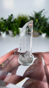 Gem Danburite Specimen from Aurora Mine, Charcas, San Luis Potosí, Mexico