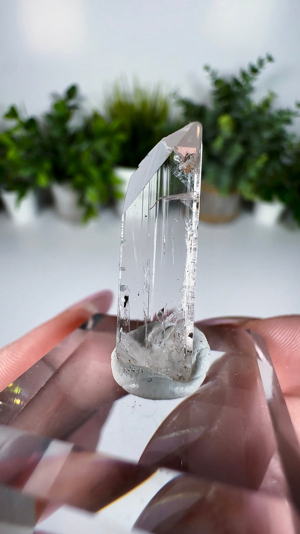 Gem Danburite Specimen from Aurora Mine, Charcas, San Luis Potosí, Mexico
