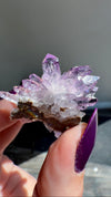 Amethyst "Flowers" with Sceptres, Reverse Sceptres & Calcite Associations on Matrix from "La Troje" Mine in Veracruz, Mexico (New Find!)