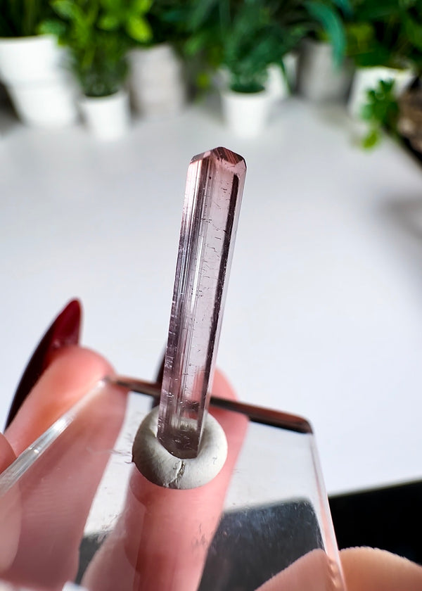 Pink Tourmaline Specimen from Paprok Mine