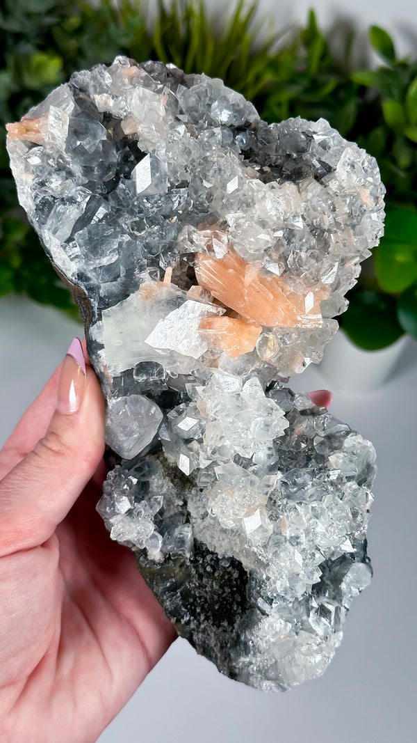 Black Diamond Apophyllite with Stilbite • XL Apophyllite, Stilbite & Black Chalcedony Crystal Specimen with Custom Display Stand from India