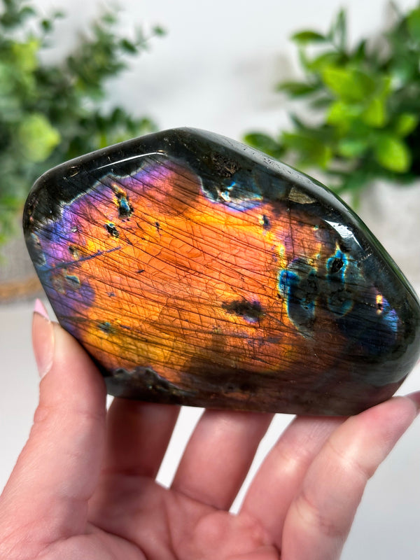 Labradorite Freeform From Madagascar