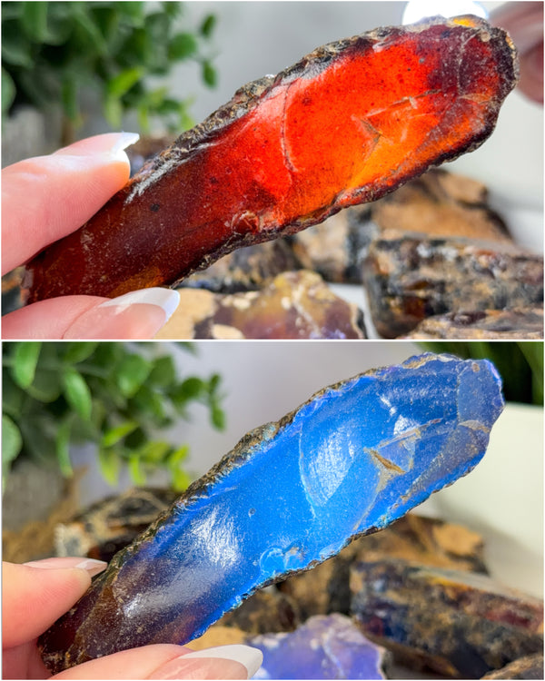 Raw Sumatran Blue Amber from Indonesia • ONE Intuitively Selected UV Reactive Indonesian Amber Raw Chunk Specimen