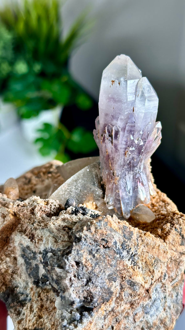 Old Stock (1980's) Guerrero Amethyst "Bowties" On Matrix with Dogtooth Calcite • Amatitlán, Eduardo Neri Municipality, Guerrero, Mexico