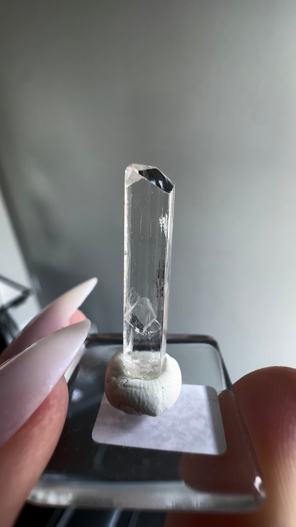Gem Danburite Specimen from Aurora Mine, Charcas, San Luis Potosí, Mexico