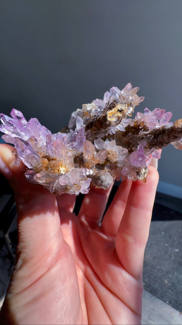 Amethyst "Flowers" with Sceptres, Reverse Sceptres & Calcite Associations on Matrix from "La Troje" Mine in Veracruz, Mexico (New Find!)