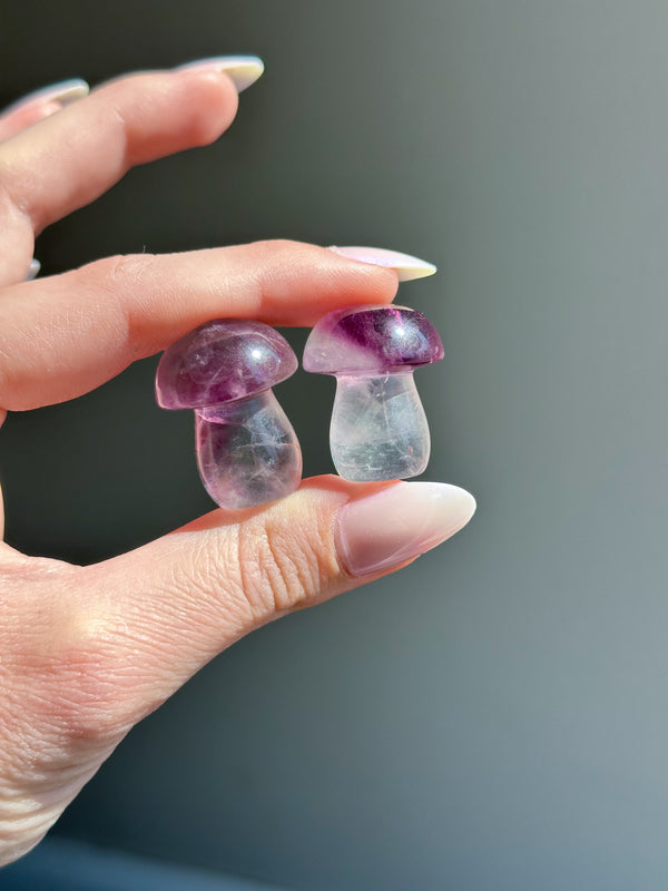 Fluorite Crystal Mushroom Carvings • Choose Your Color!