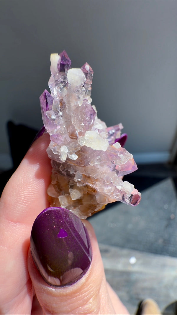 Amethyst "Flowers" with Sceptres, Reverse Sceptres & Calcite Associations on Matrix from "La Troje" Mine in Veracruz, Mexico (New Find!)