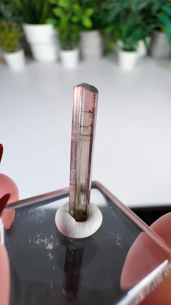 Terminated Pink & Green Tourmaline Specimen from Paprok Mine