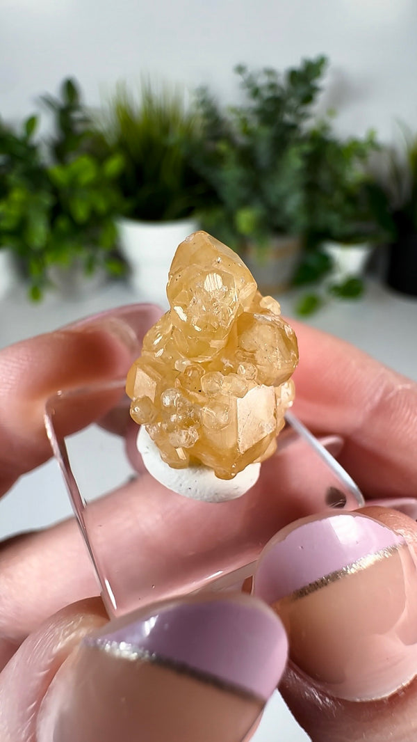 Grossular “Honey” Garnet — Hebei Province, China (2012 Find)