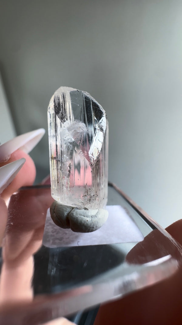 Gem Danburite Specimen from Aurora Mine, Charcas, San Luis Potosí, Mexico