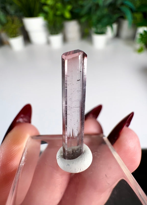 Pink Tourmaline Specimen from Paprok Mine