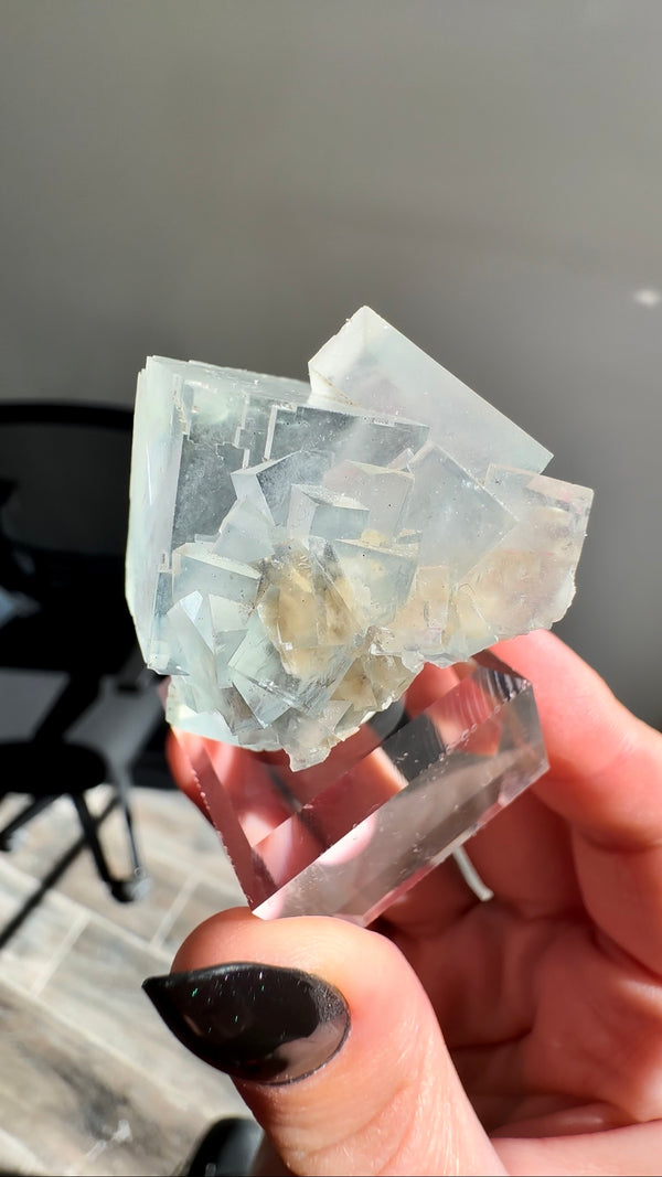 Fluorite with Bladed Calcite Inclusions from YGX Mine