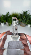 Gem Danburite Specimen from Aurora Mine, Charcas, San Luis Potosí, Mexico