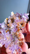 Amethyst "Flowers" with Sceptres, Reverse Sceptres & Calcite Associations on Matrix from "La Troje" Mine in Veracruz, Mexico (New Find!)