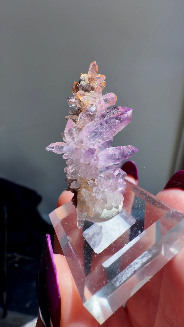 Amethyst "Flowers" with Sceptres, Reverse Sceptres & Calcite Associations on Matrix from "La Troje" Mine in Veracruz, Mexico (New Find!)