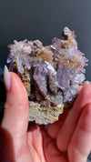 Amethyst "Flowers" with Sceptres, Reverse Sceptres & Calcite Associations on Matrix from "La Troje" Mine in Veracruz, Mexico (New Find!)